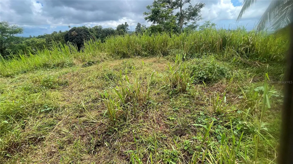 908 st BARRIO TEJAS Yabucoa, PR 00767