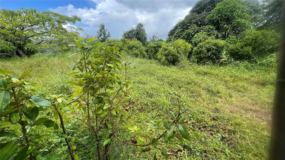 908 st BARRIO TEJAS Yabucoa, PR 00767