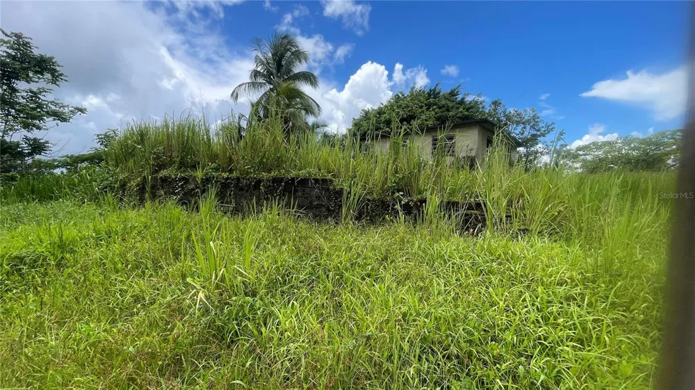 908 st BARRIO TEJAS Yabucoa, PR 00767