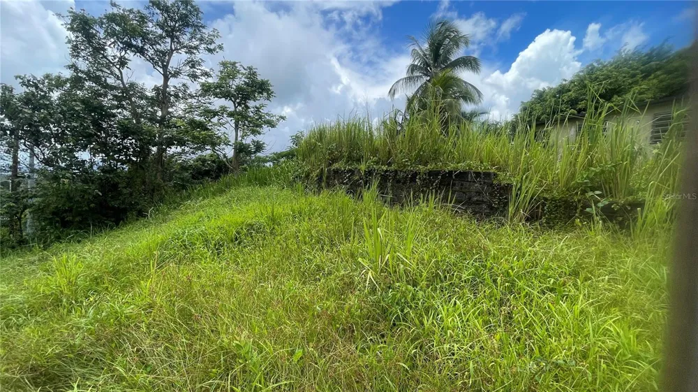 908 st BARRIO TEJAS Yabucoa, PR 00767