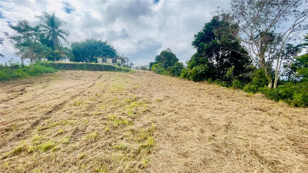 908 st BARRIO TEJAS Yabucoa, PR 00767