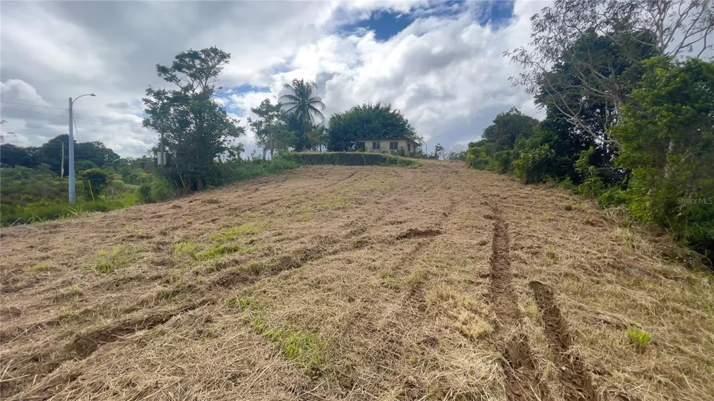 908 st BARRIO TEJAS Yabucoa, PR 00767