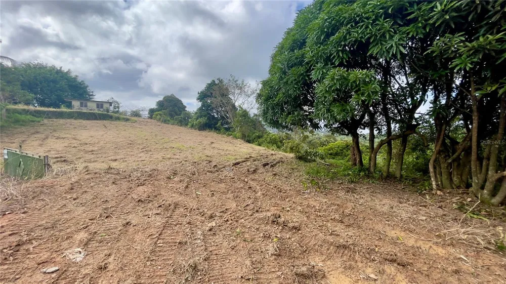 908 st BARRIO TEJAS Yabucoa, PR 00767