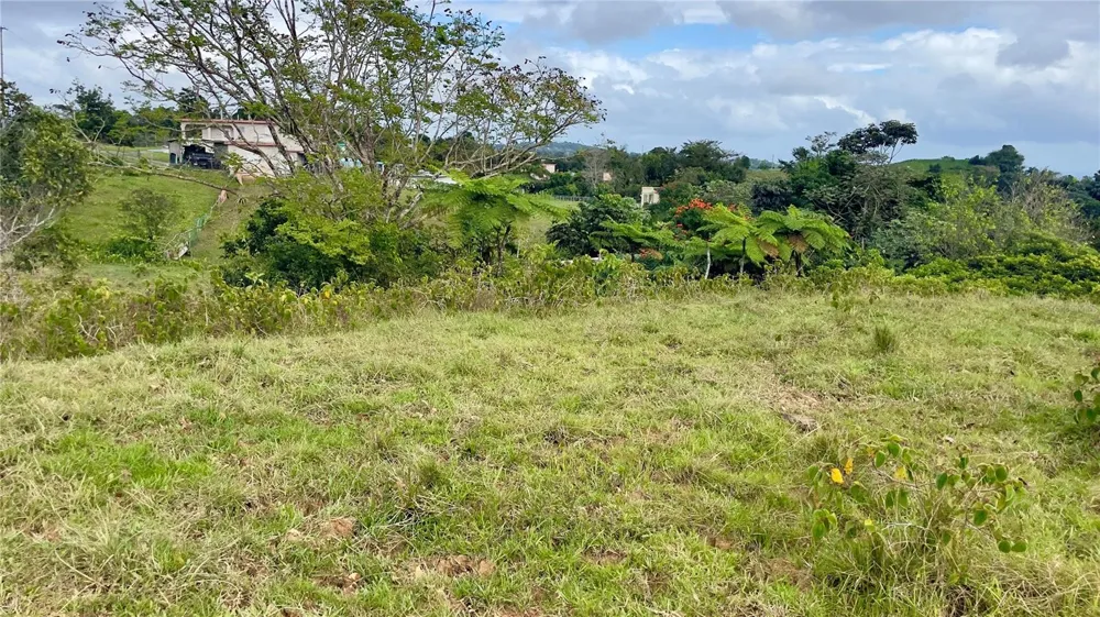 908 st BARRIO TEJAS Yabucoa, PR 00767