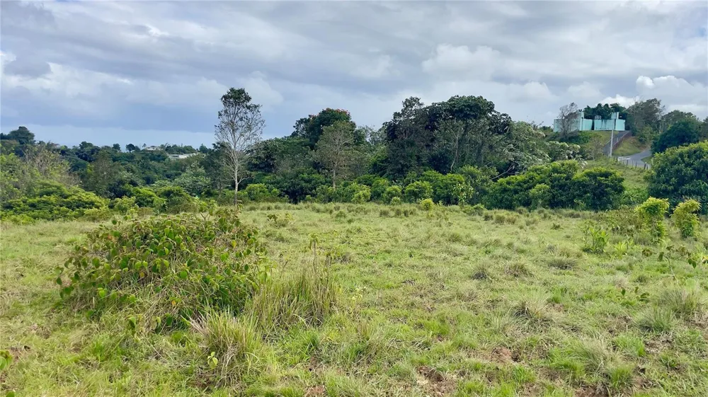 908 st BARRIO TEJAS Yabucoa, PR 00767