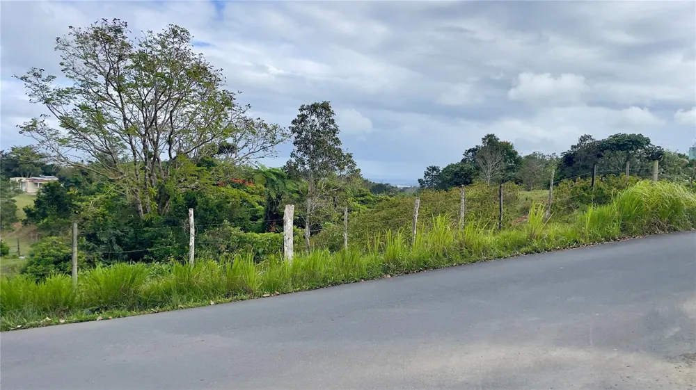 908 st BARRIO TEJAS Yabucoa, PR 00767
