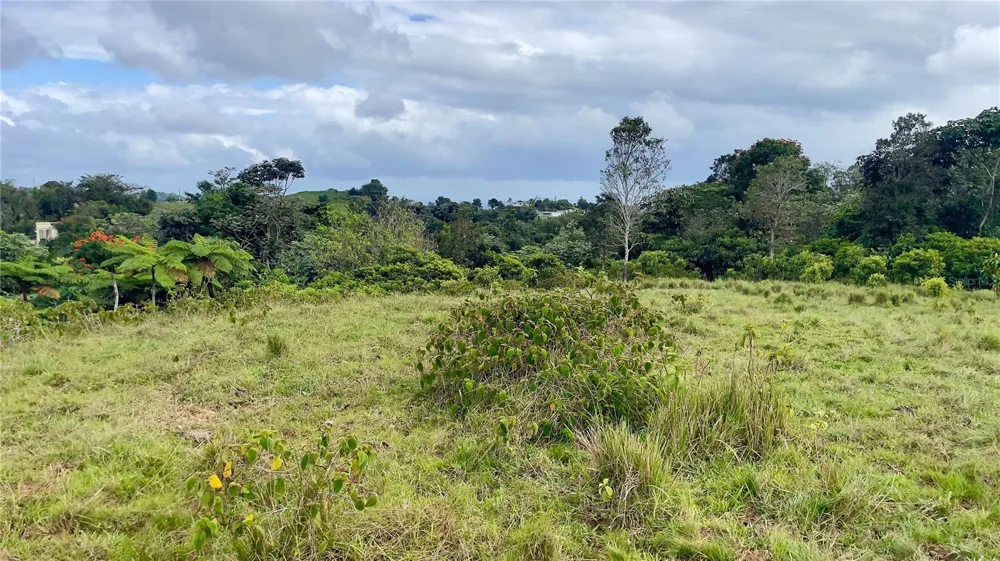 908 st BARRIO TEJAS Yabucoa, PR 00767