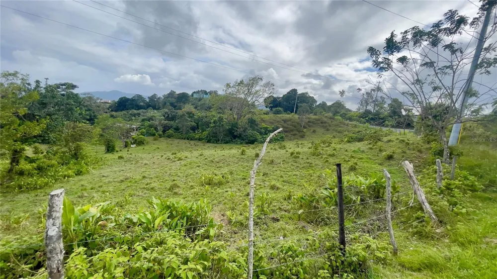 908 st BARRIO TEJAS Yabucoa, PR 00767