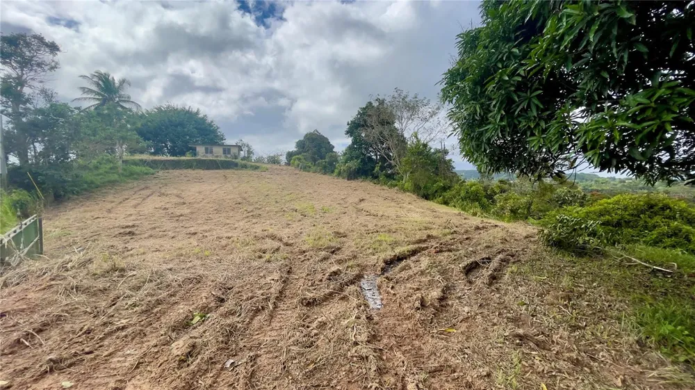 908 st BARRIO TEJAS Yabucoa, PR 00767