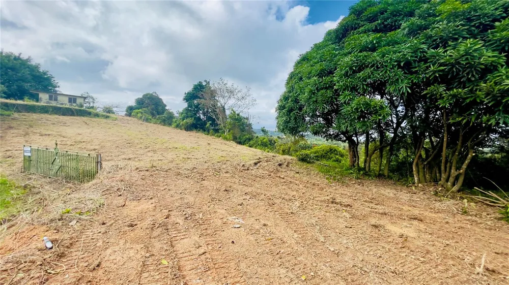 908 st BARRIO TEJAS Yabucoa, PR 00767