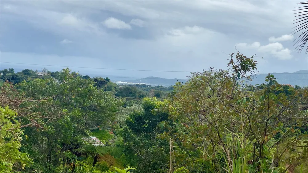 908 st BARRIO TEJAS Yabucoa, PR 00767