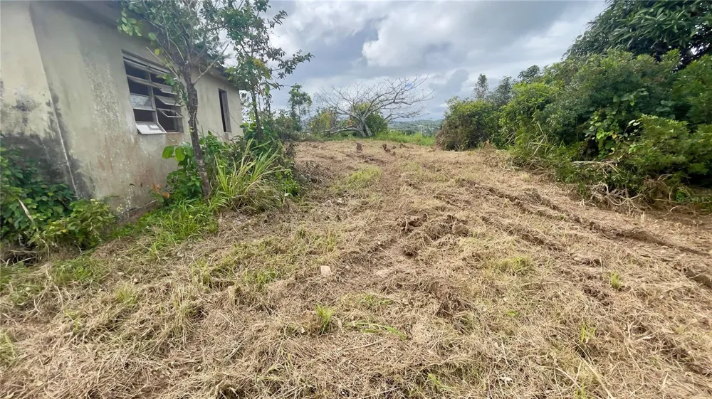 908 st BARRIO TEJAS Yabucoa, PR 00767