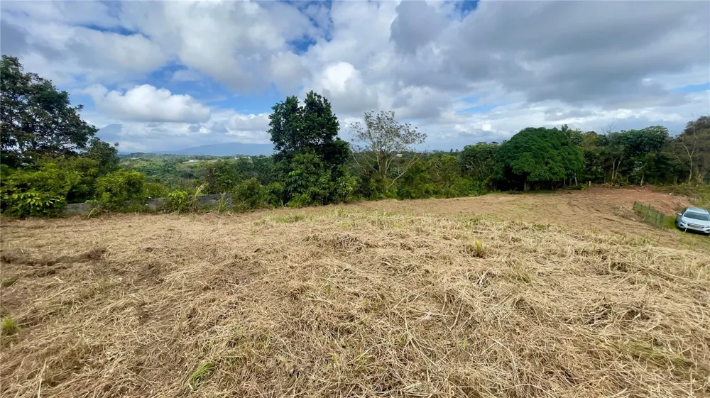908 st BARRIO TEJAS Yabucoa, PR 00767