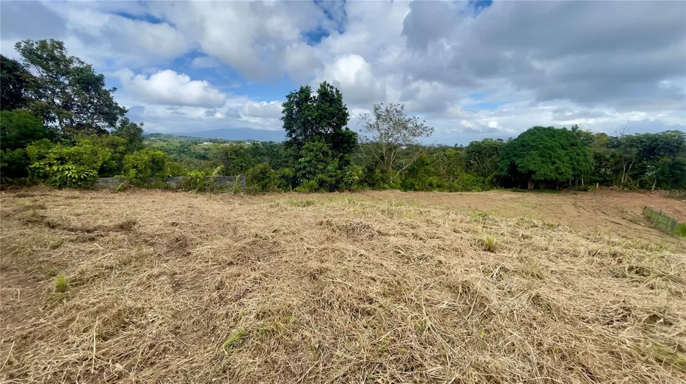 908 st BARRIO TEJAS Yabucoa, PR 00767