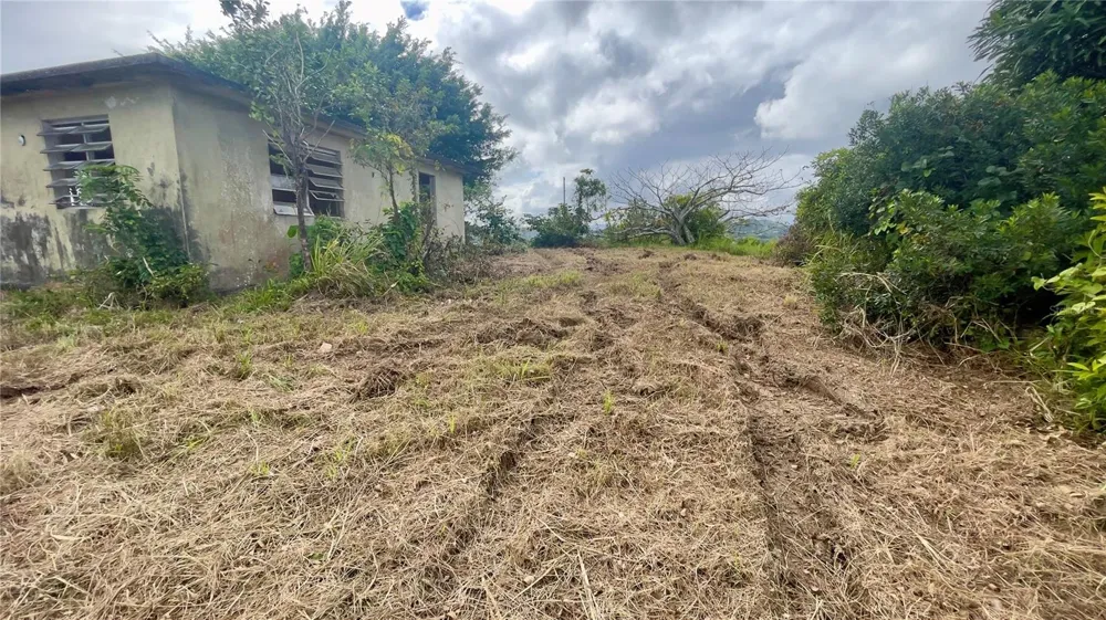 908 st BARRIO TEJAS Yabucoa, PR 00767