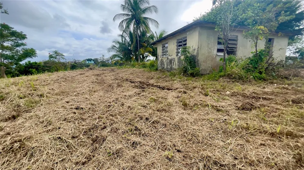 908 st BARRIO TEJAS Yabucoa, PR 00767