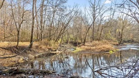Jones Creek Lane