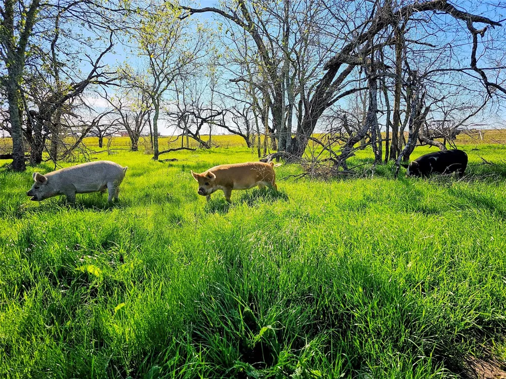 2970 County Road 270 Cameron, TX 76520