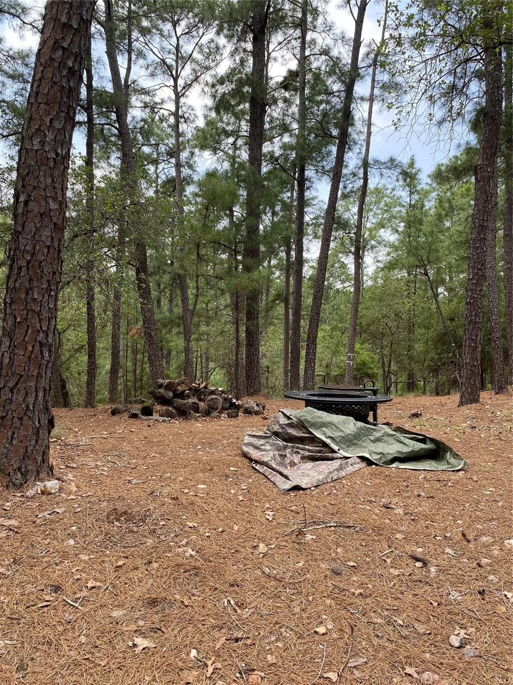 Clear Lake Drive La Grange, TX 78945