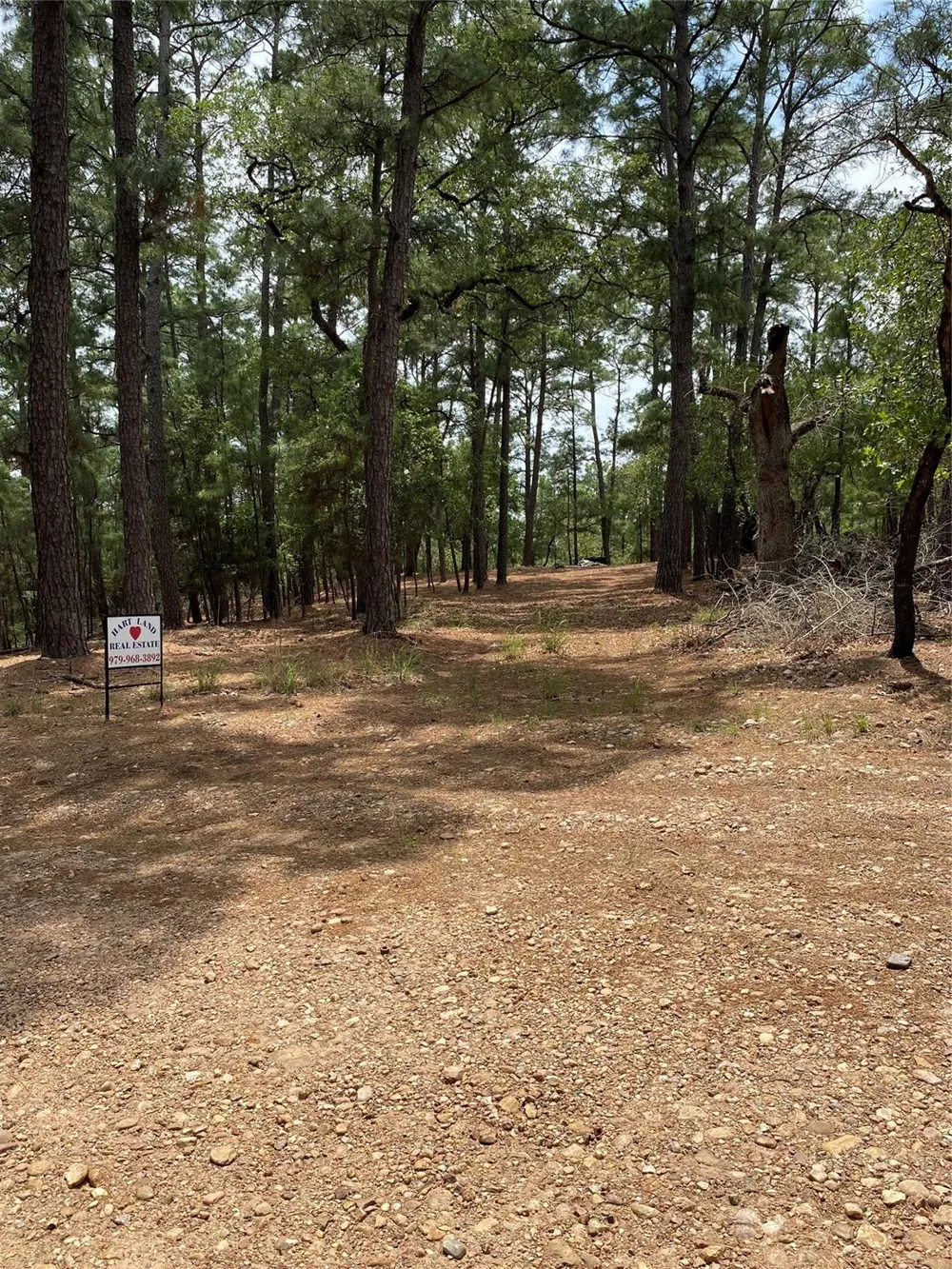 Clear Lake Drive La Grange, TX 78945