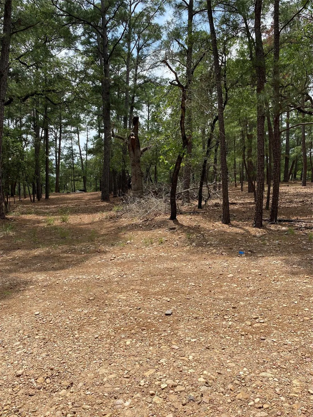 Clear Lake Drive La Grange, TX 78945