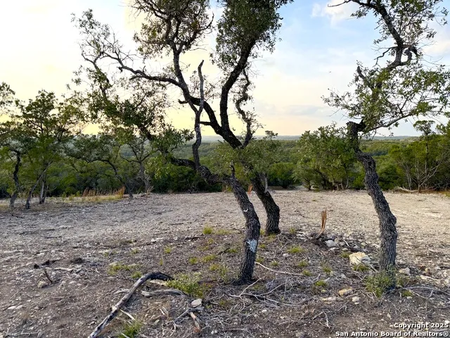 100 ACRES N Cranes Mill Road Canyon Lake, TX 78133
