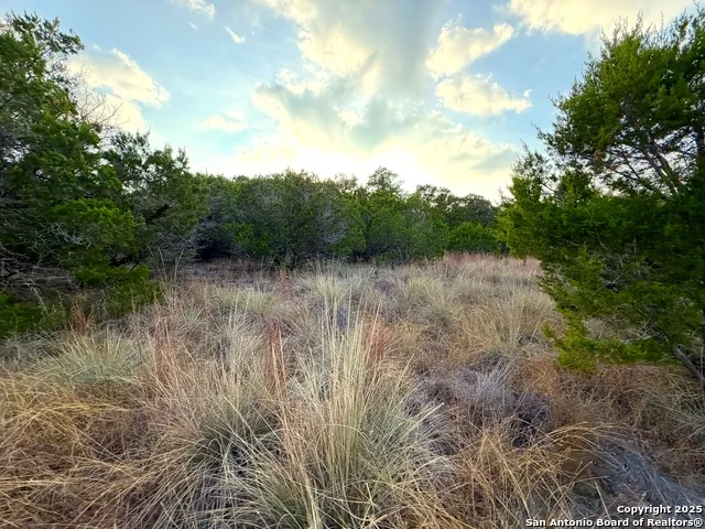 100 ACRES N Cranes Mill Road Canyon Lake, TX 78133