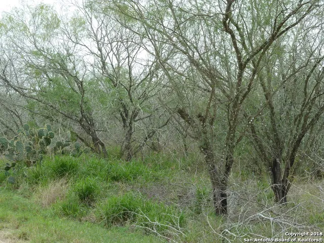 1956 Fm 1554 Alice, TX 78332