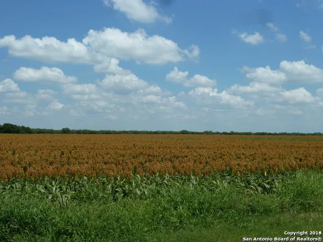 1956 Fm 1554 Alice, TX 78332