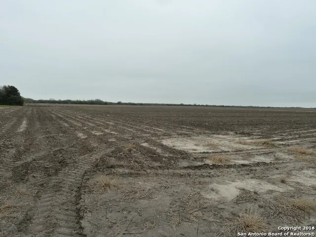 1956 Fm 1554 Alice, TX 78332