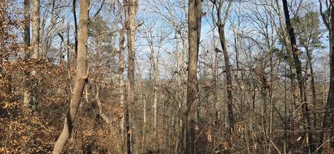 00001 Hwy 369