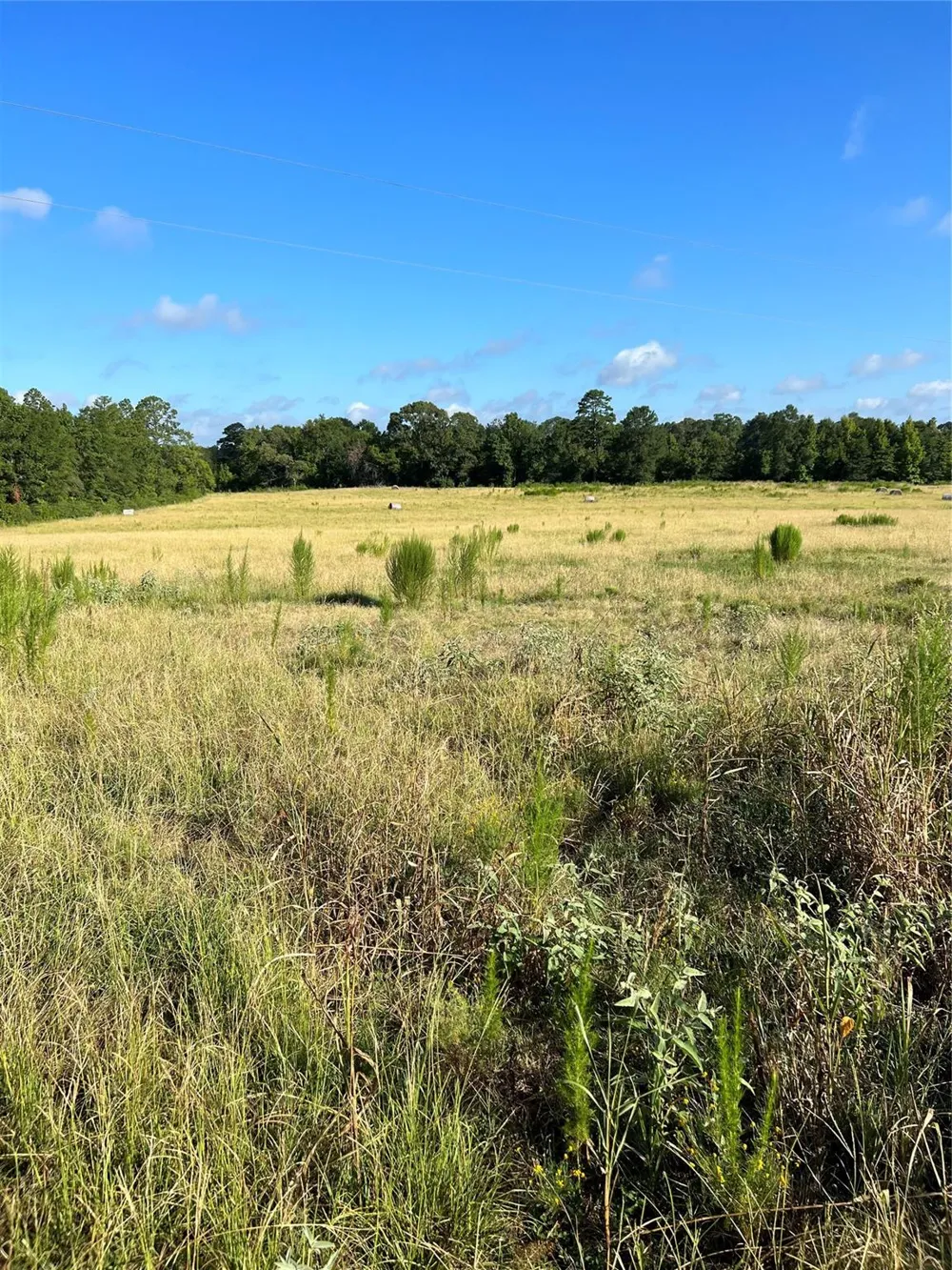 Cr 4535 Crockett, TX 75835