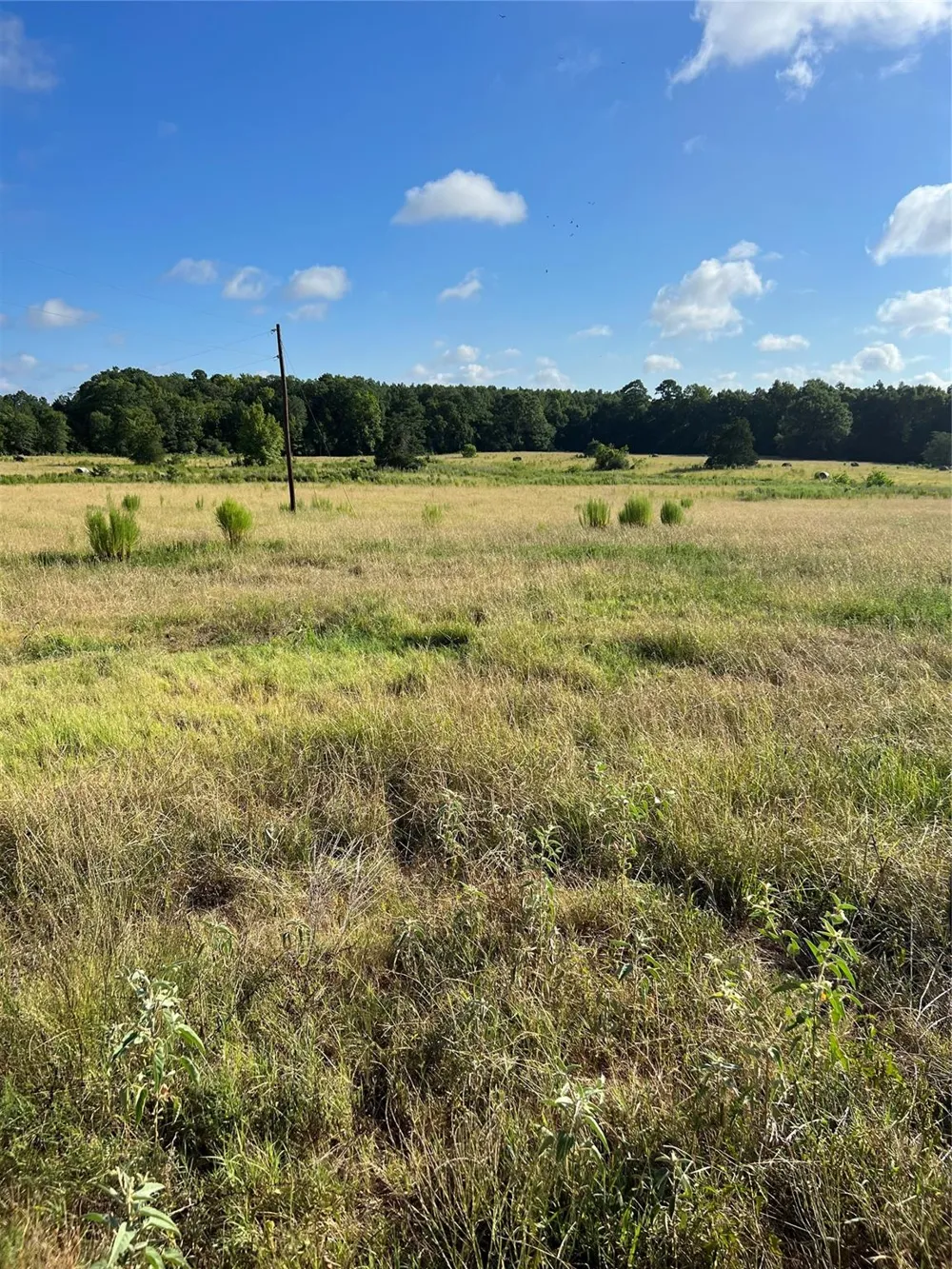 Cr 4535 Crockett, TX 75835