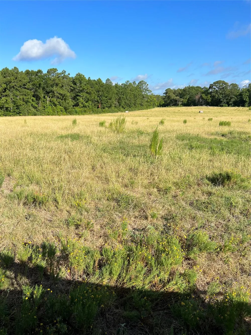 Cr 4535 Crockett, TX 75835