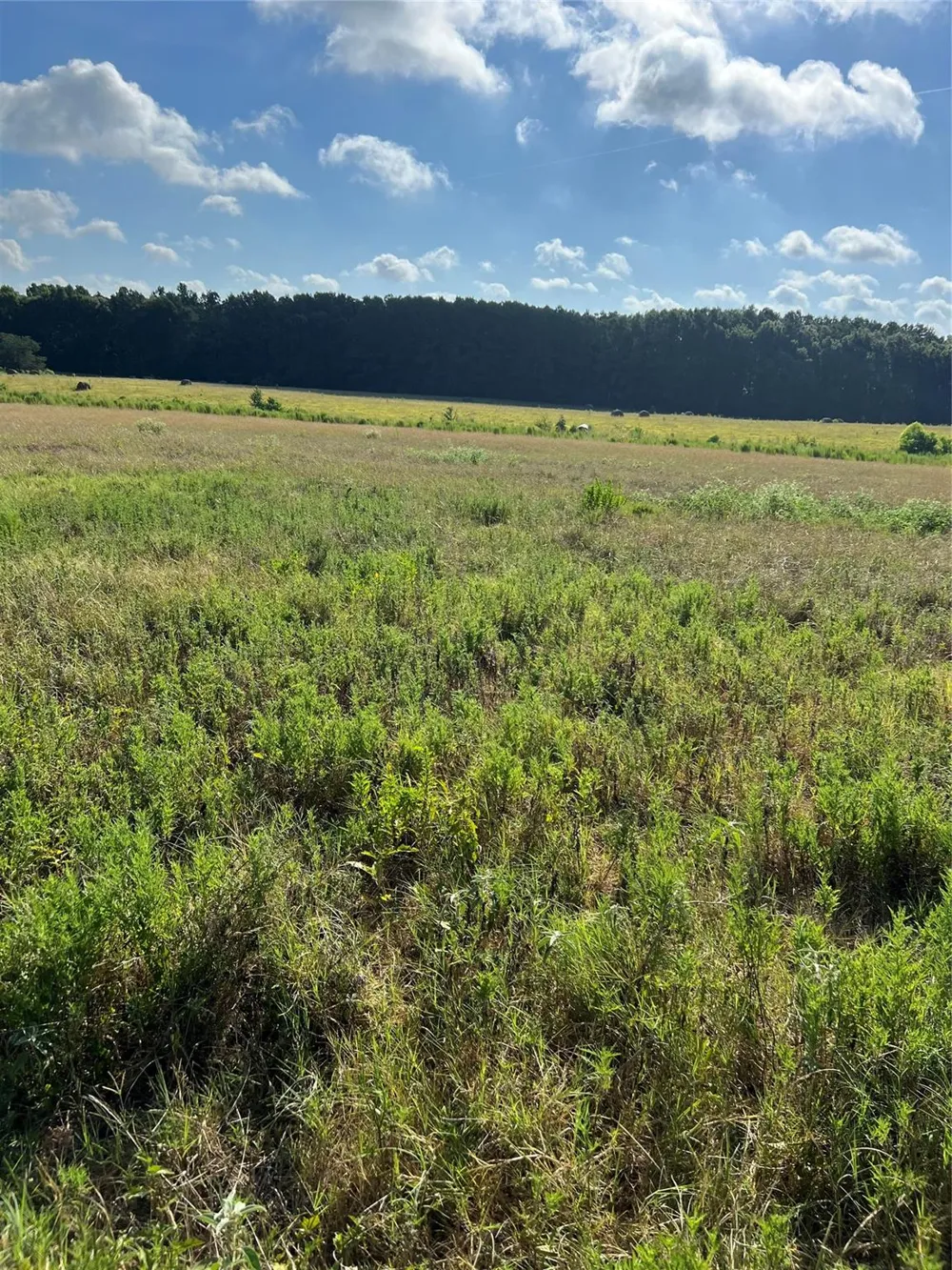 Cr 4535 Crockett, TX 75835