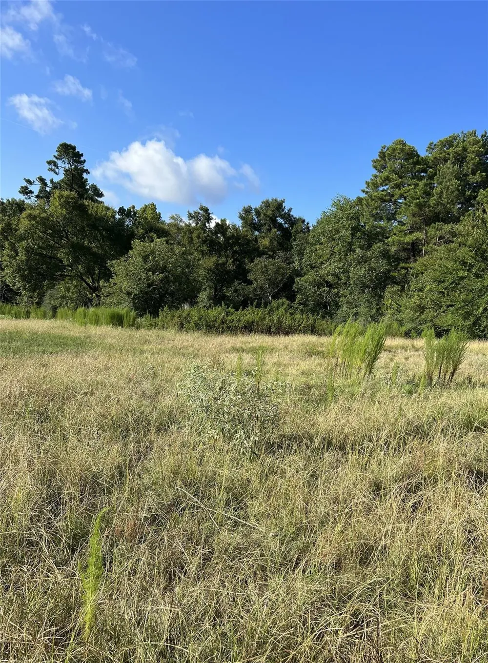 Cr 4535 Crockett, TX 75835