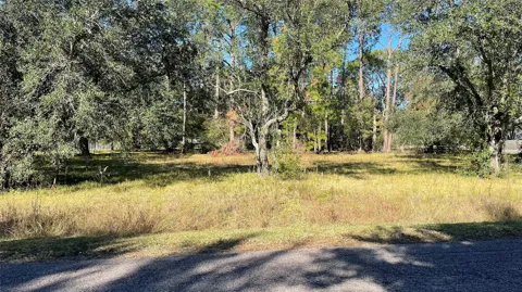 Boxwood At Britt Corner W