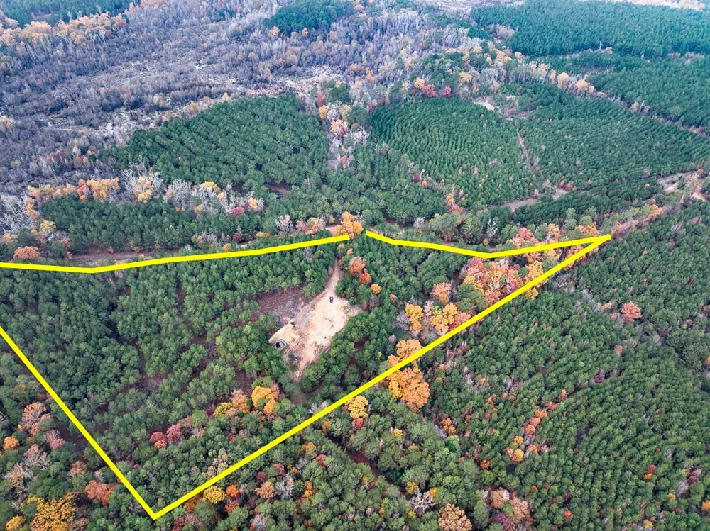 County Road 1651 Avinger, TX 75630