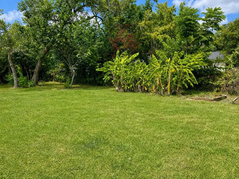 1156 2nd Street Clute, TX 77531