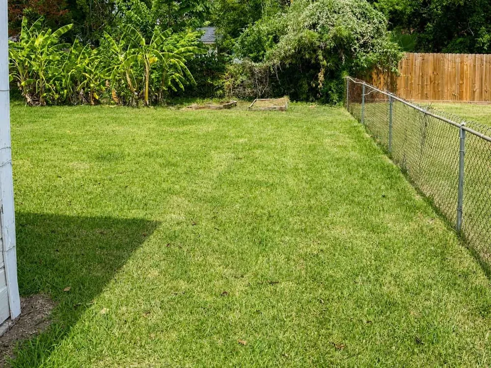 1156 2nd Street Clute, TX 77531