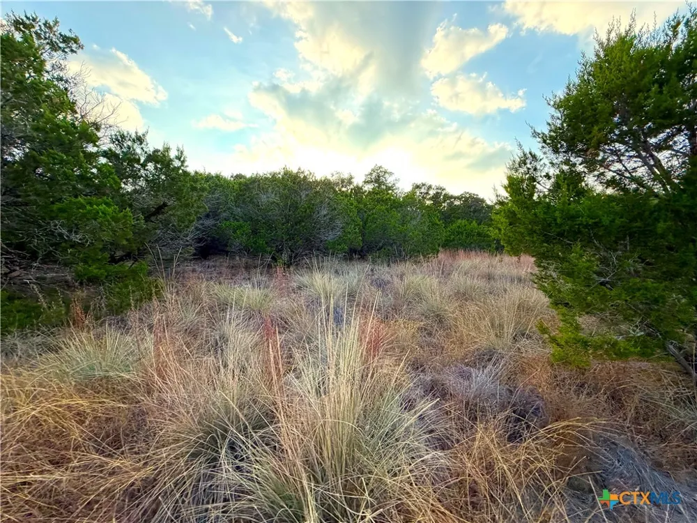 100 Acres N Cranes Mill Rd. Canyon Lake, TX 78133