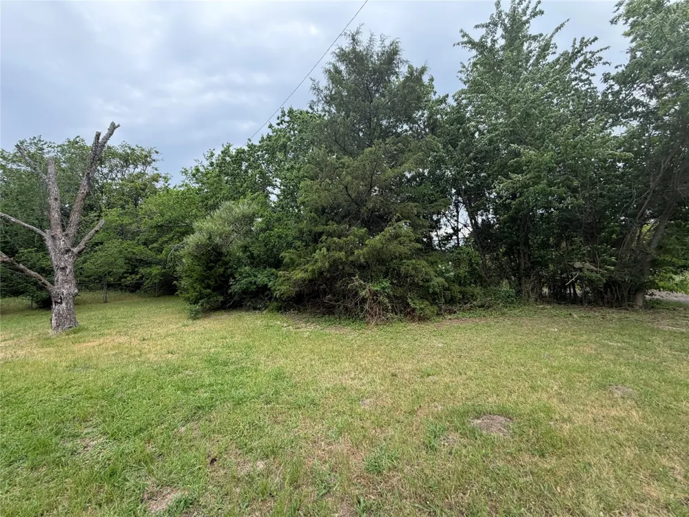Norris Street Commerce, TX 75428