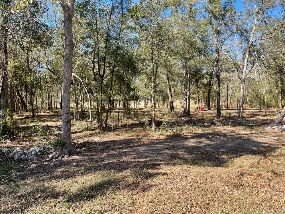 Creekview Ct Drive Friendswood, TX 77546