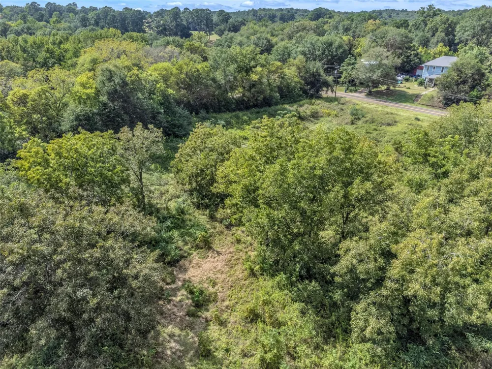 Crockett St Rusk, TX 75785
