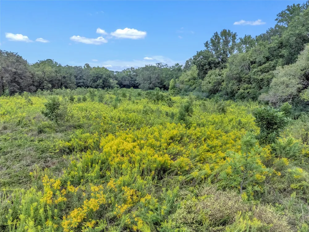 Crockett St Rusk, TX 75785