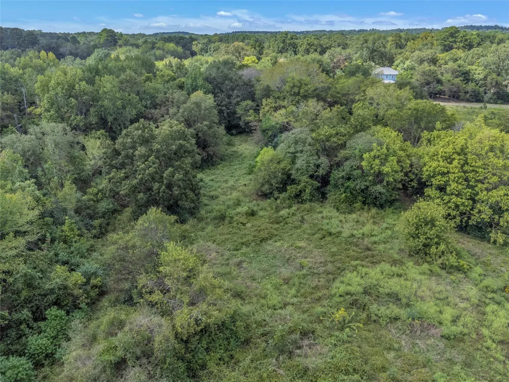 Crockett St Rusk, TX 75785