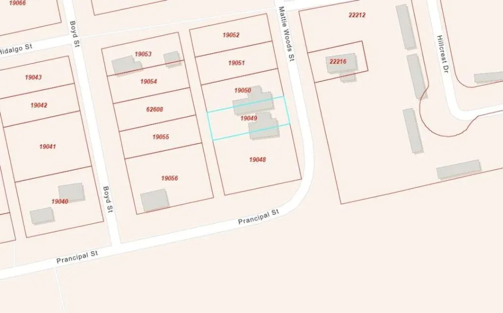 1921 Mattie Woods Street Colorado City, TX 79512