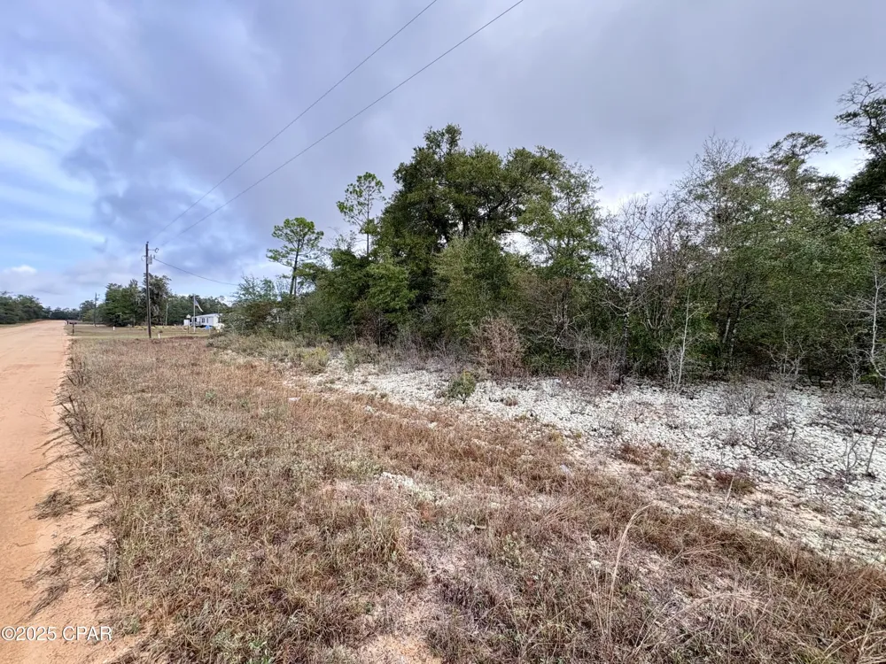 14 Sadorus Avenue Alford, FL 32420