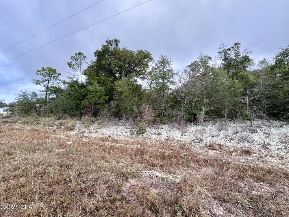 14 Sadorus Avenue Alford, FL 32420