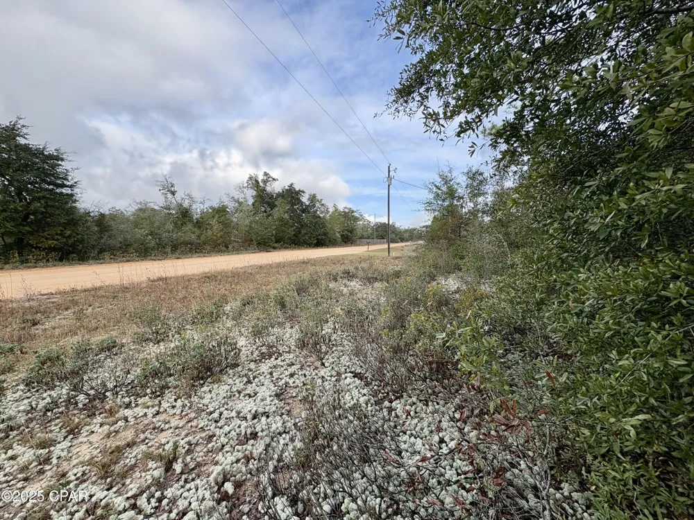 14 Sadorus Avenue Alford, FL 32420